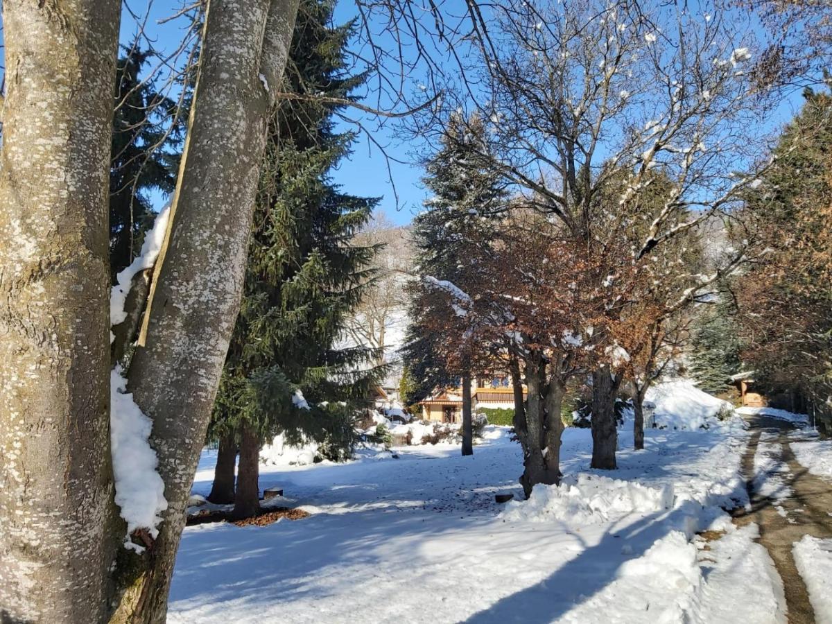 B&B Pension Karlsdorfer Hof Зебоден Екстер'єр фото